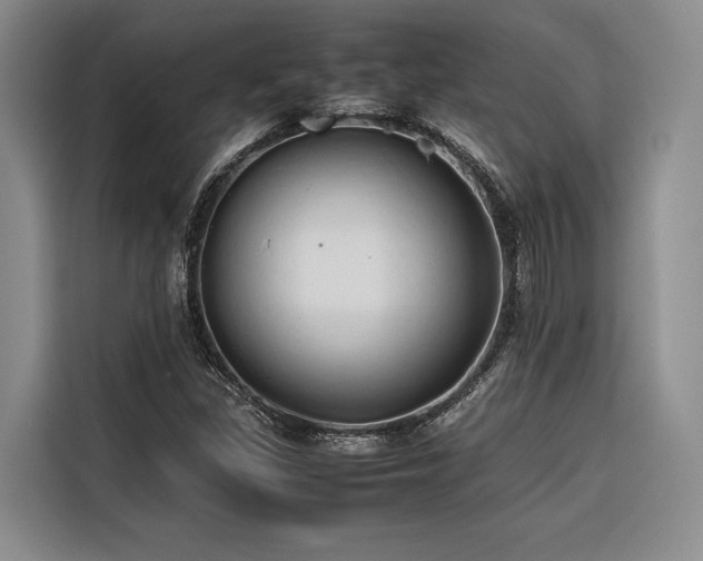 X0000116681309200912141424
