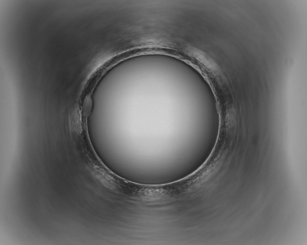 X0000116681310200912141424
