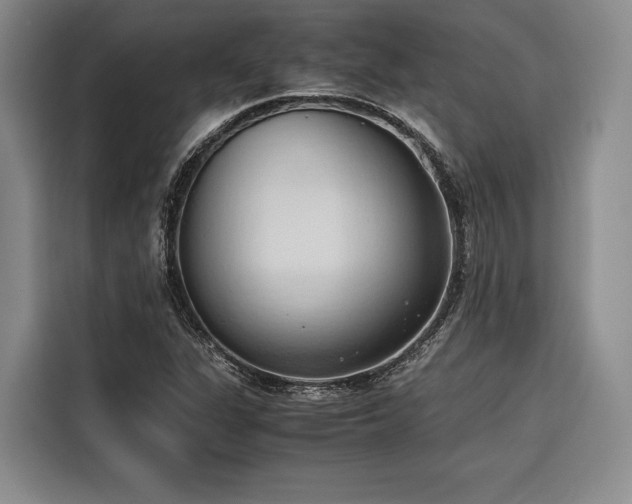 X0000116681311200912141424