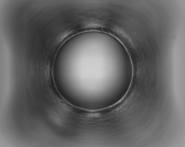X0000116681313200912141424