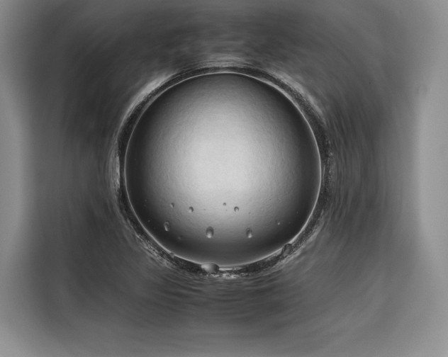 X0000116681317200912141424