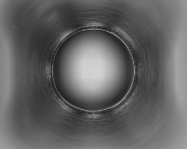 X0000116681321200912141424