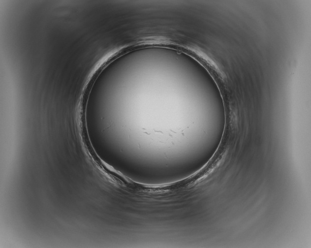X0000116681325200912141424