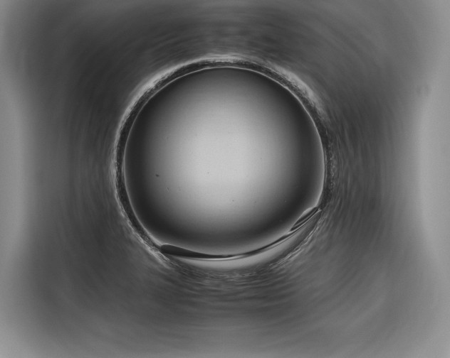 X0000116681327200912141424