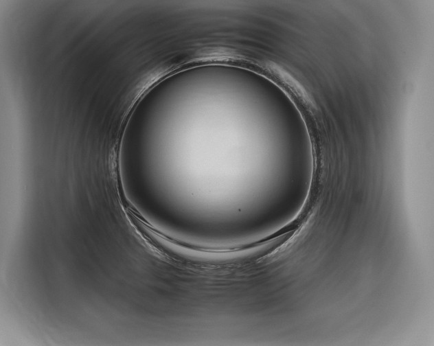 X0000116681329200912141424