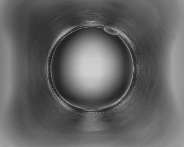 X0000116681333200912141424