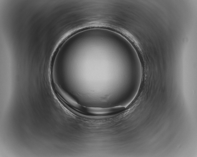 X0000116681334200912141424