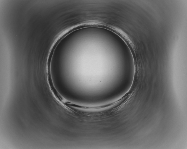 X0000116681335200912141424