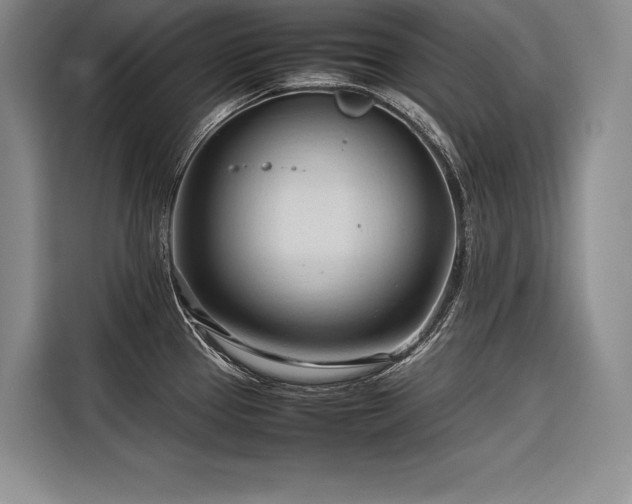 X0000116681337200912141424