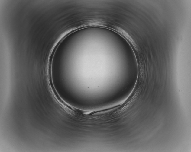 X0000116681339200912141424