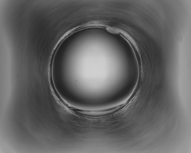 X0000116681341200912141424