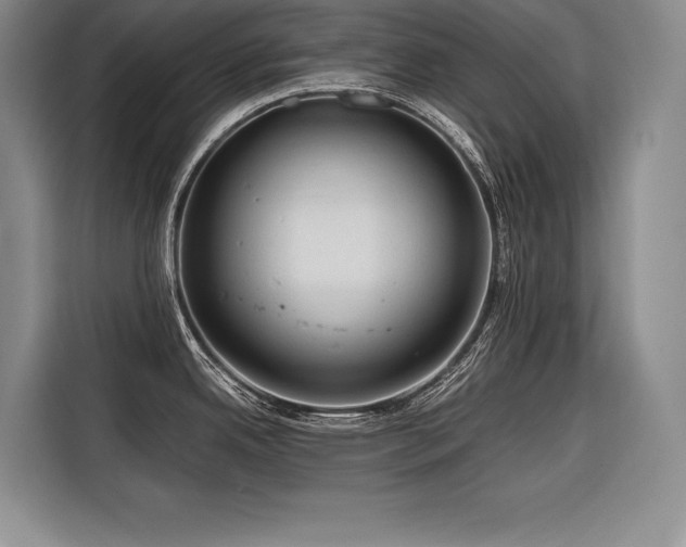 X0000116681342200912141424