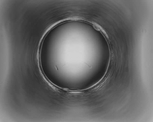 X0000116681343200912141424