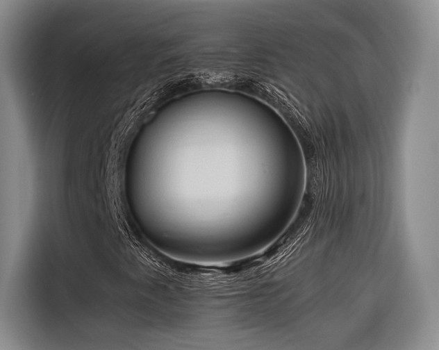 X0000116681345200912141424