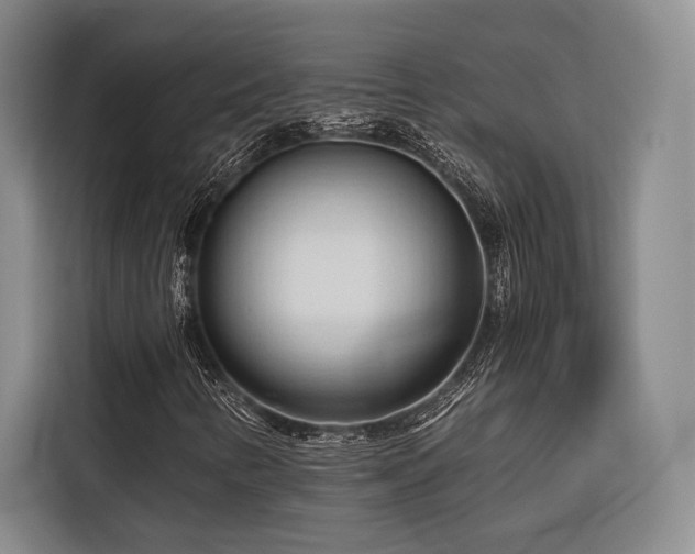 X0000116681346200912141424