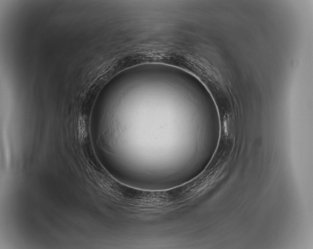 X0000116681347200912141424