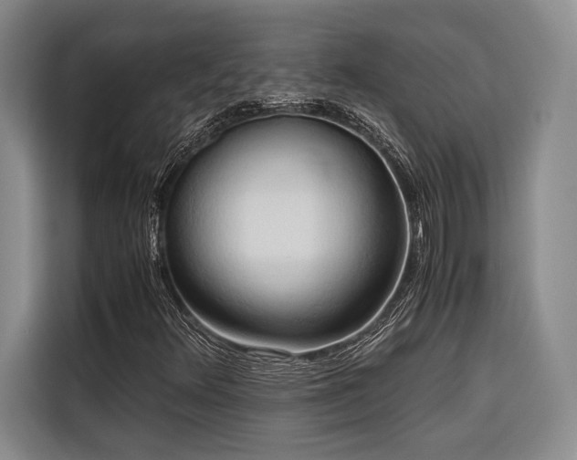 X0000116681348200912141424