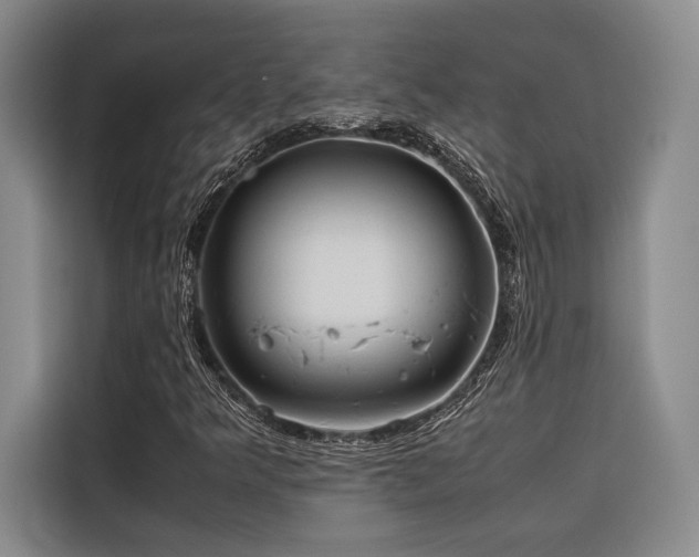 X0000116681349200912141424