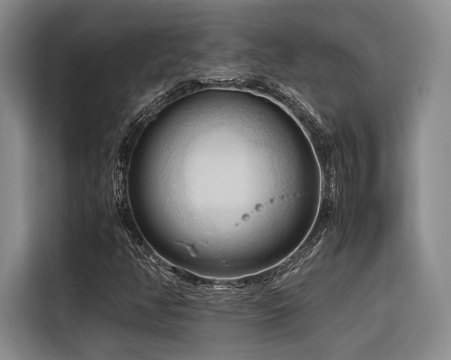 X0000116681350200912141424
