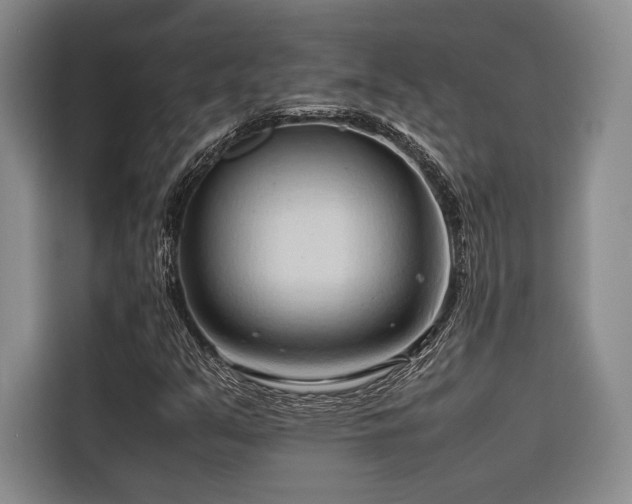 X0000116681351200912141424