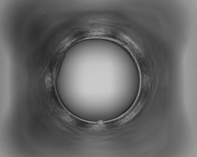 X0000116681353200912141423