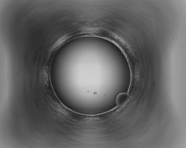 X0000116681354200912141423