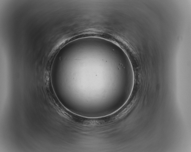 X0000116681355200912141423
