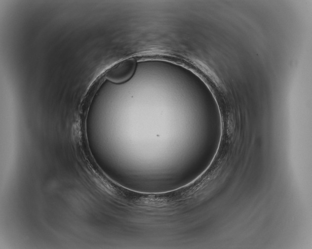 X0000116681356200912141423