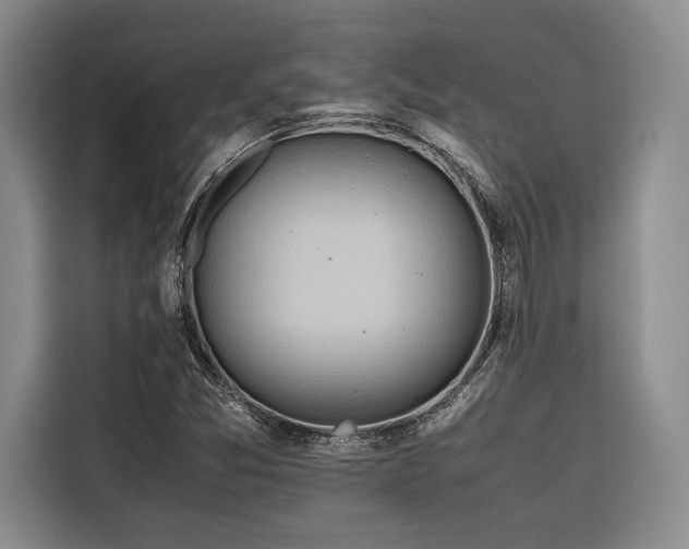X0000116681357200912141423