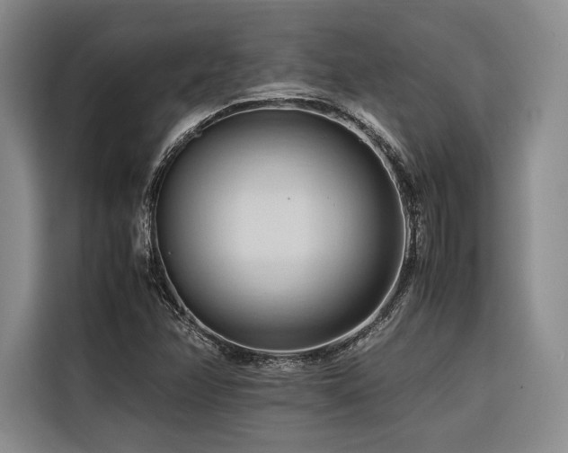 X0000116681358200912141423