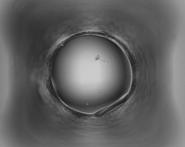 X0000116681359200912141423