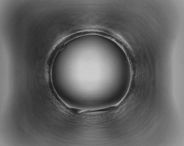X0000116681360200912141423