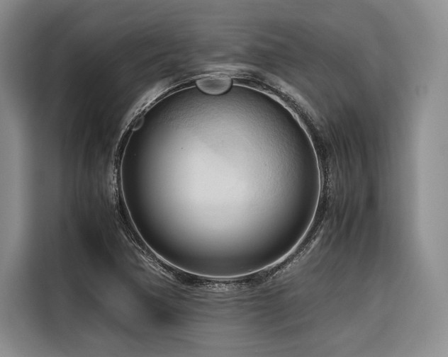X0000116681362200912141423