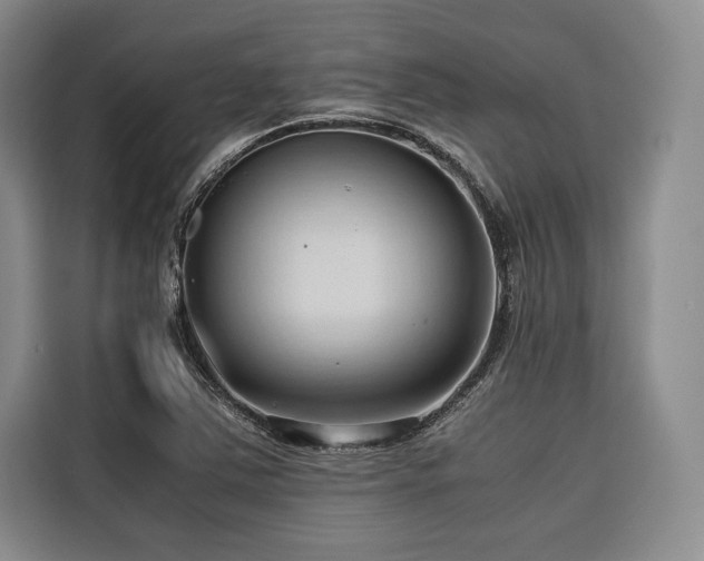 X0000116681363200912141423