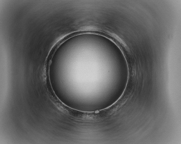 X0000116681364200912141423