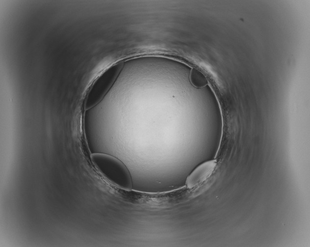 X0000116681365200912141423