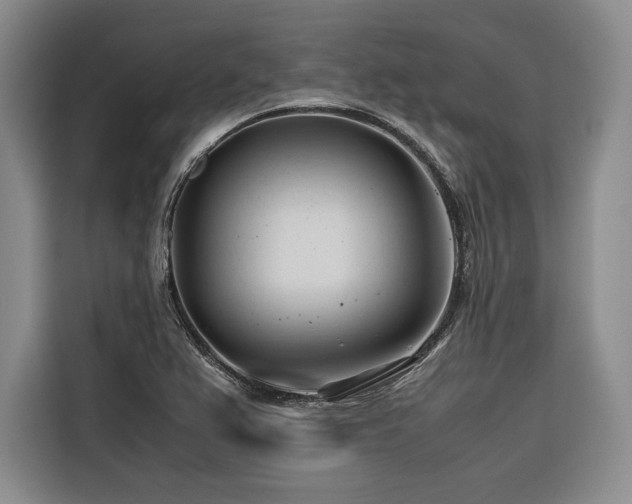 X0000116681367200912141423