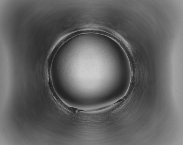 X0000116681368200912141423