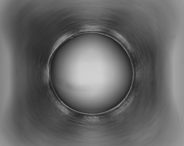 X0000116681370200912141423