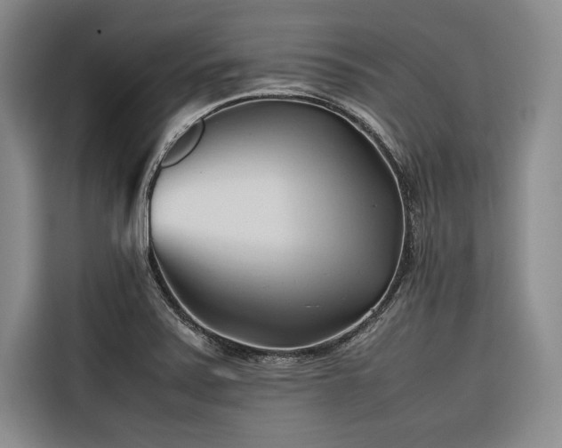 X0000116681371200912141423