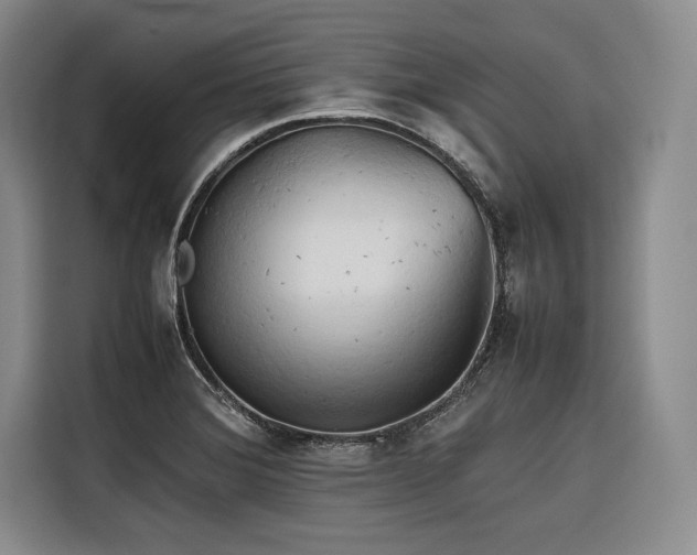 X0000116681372200912141423