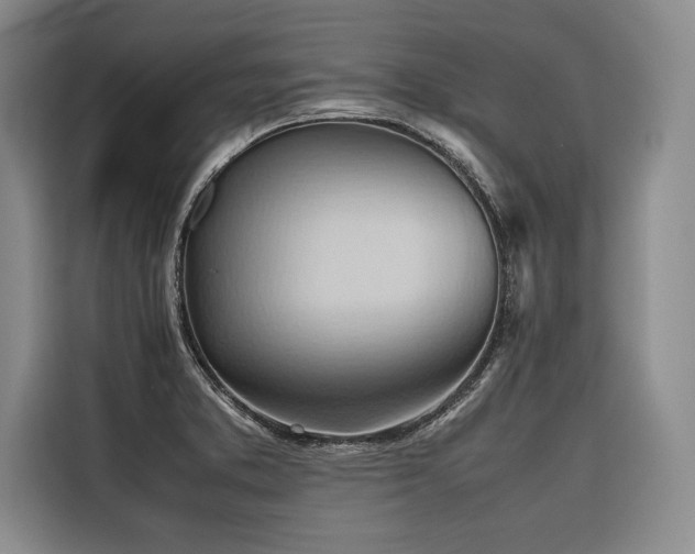 X0000116681373200912141423