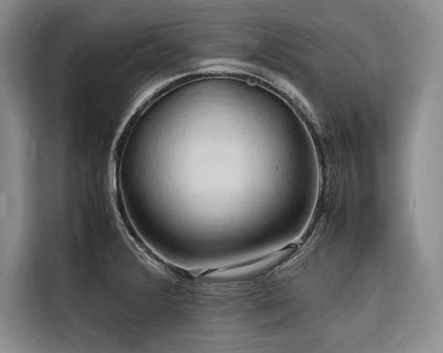 X0000116681376200912141423