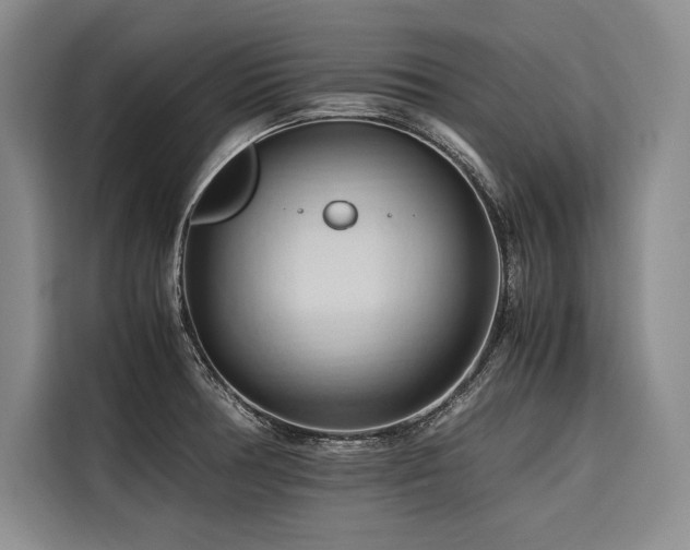 X0000116681378200912141423