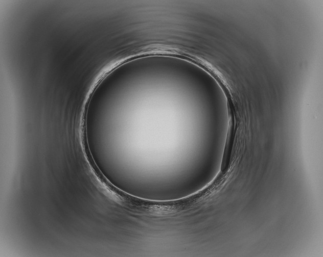 X0000116681379200912141423