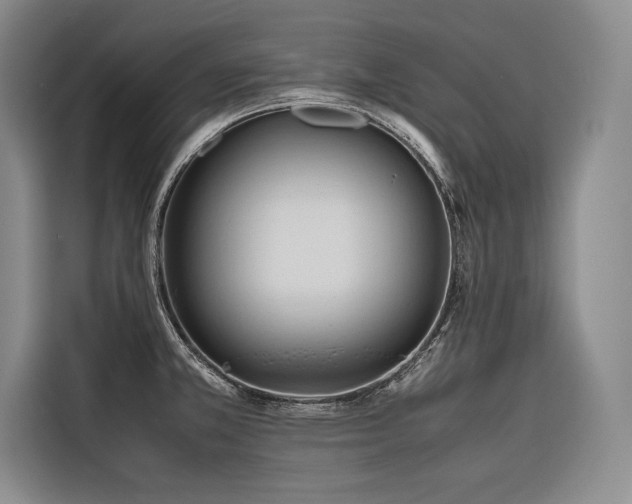 X0000116681381200912141423