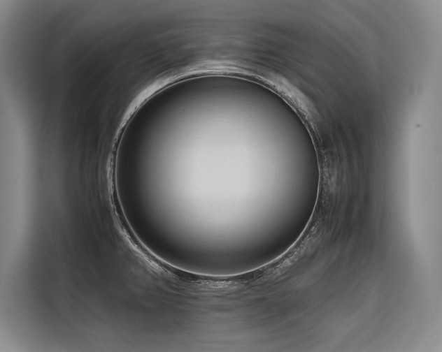 X0000116681382200912141423