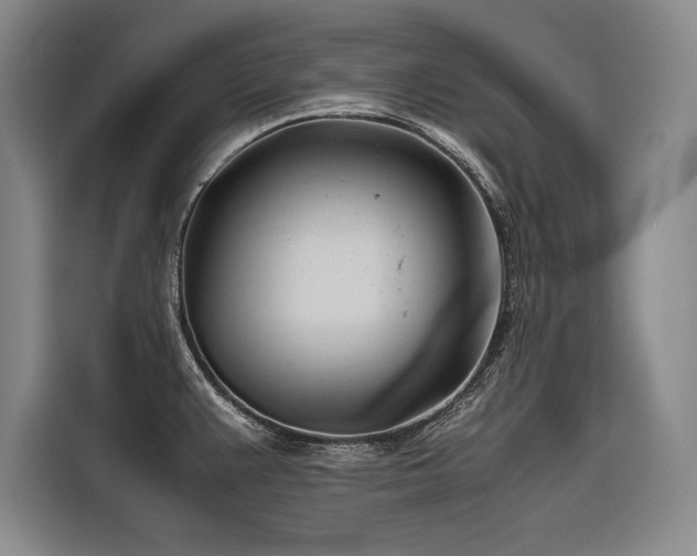 X0000116681383200912141423
