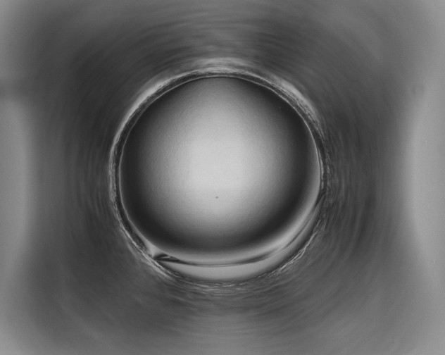 X0000116681384200912141423