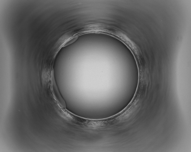 X0000116681385200912141423